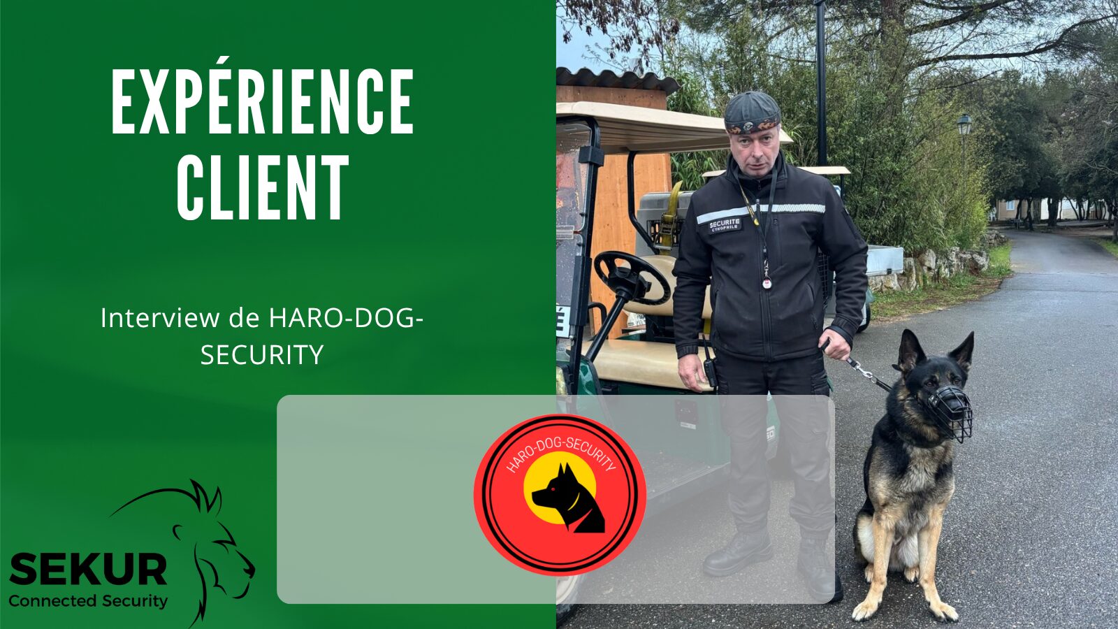 interview client HARO DOG SECURITY